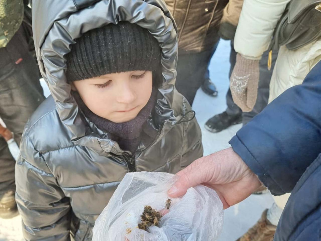 Как вылечить пчелу: калужские фермеры узнали секреты медового бизнеса